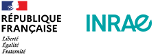 Protein macro-assembly and prion diseases team (MAP2), Molecular Virology and Immunology unit (VIM, UMR 0892), INRAE Jouy-en-Josas logo